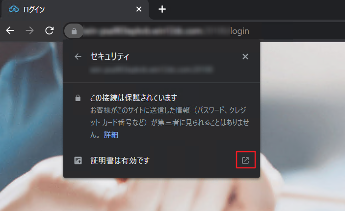 A screenshot of a computer

Description automatically generated
